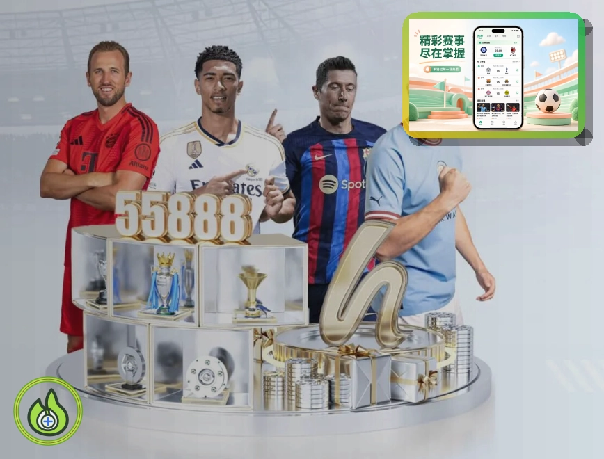 2026美加墨世界杯观赛指南与球迷门票信息图